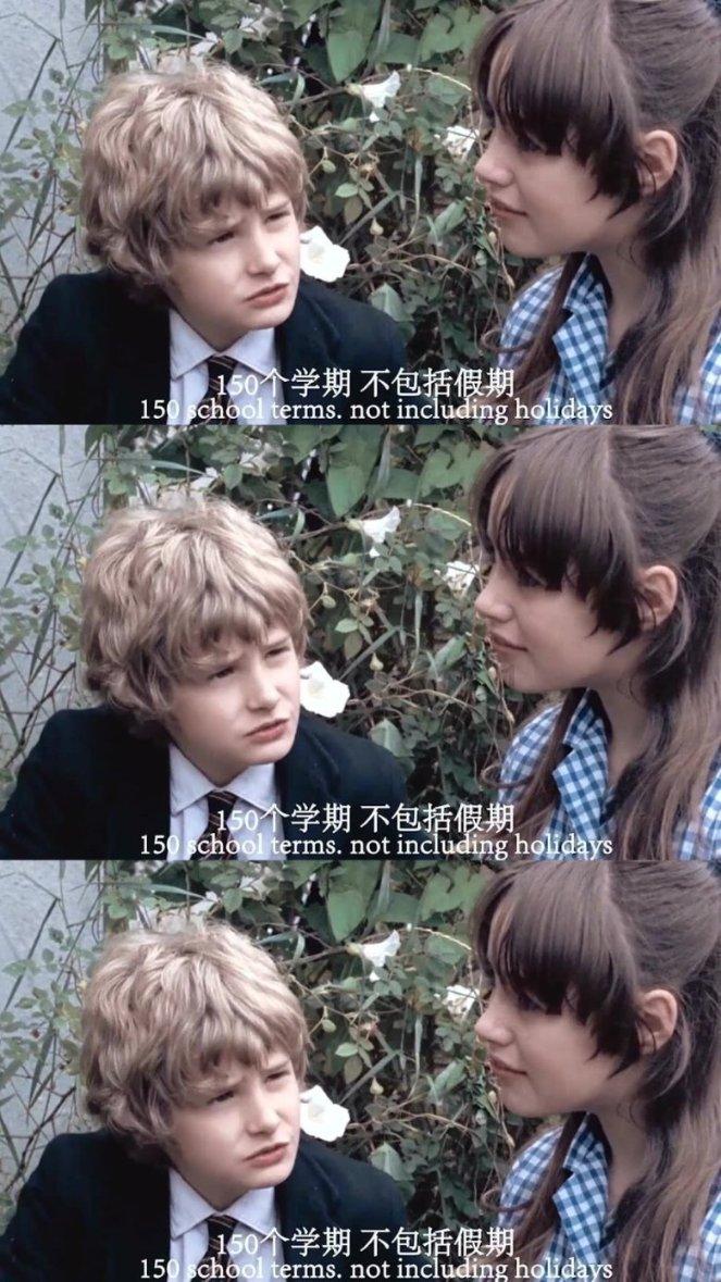 奇特的方块世界