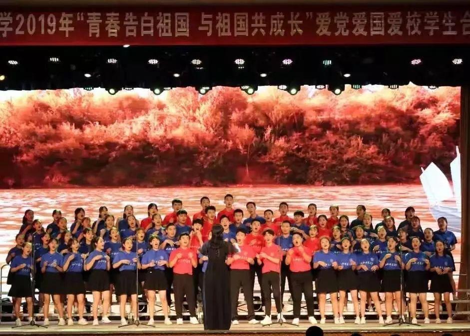 强大的狮子拼图