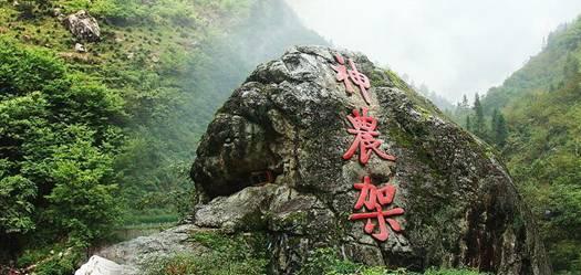 2024年度宜昌科技职业学院食堂大宗食材供应商采购项目竞争性磋商公告